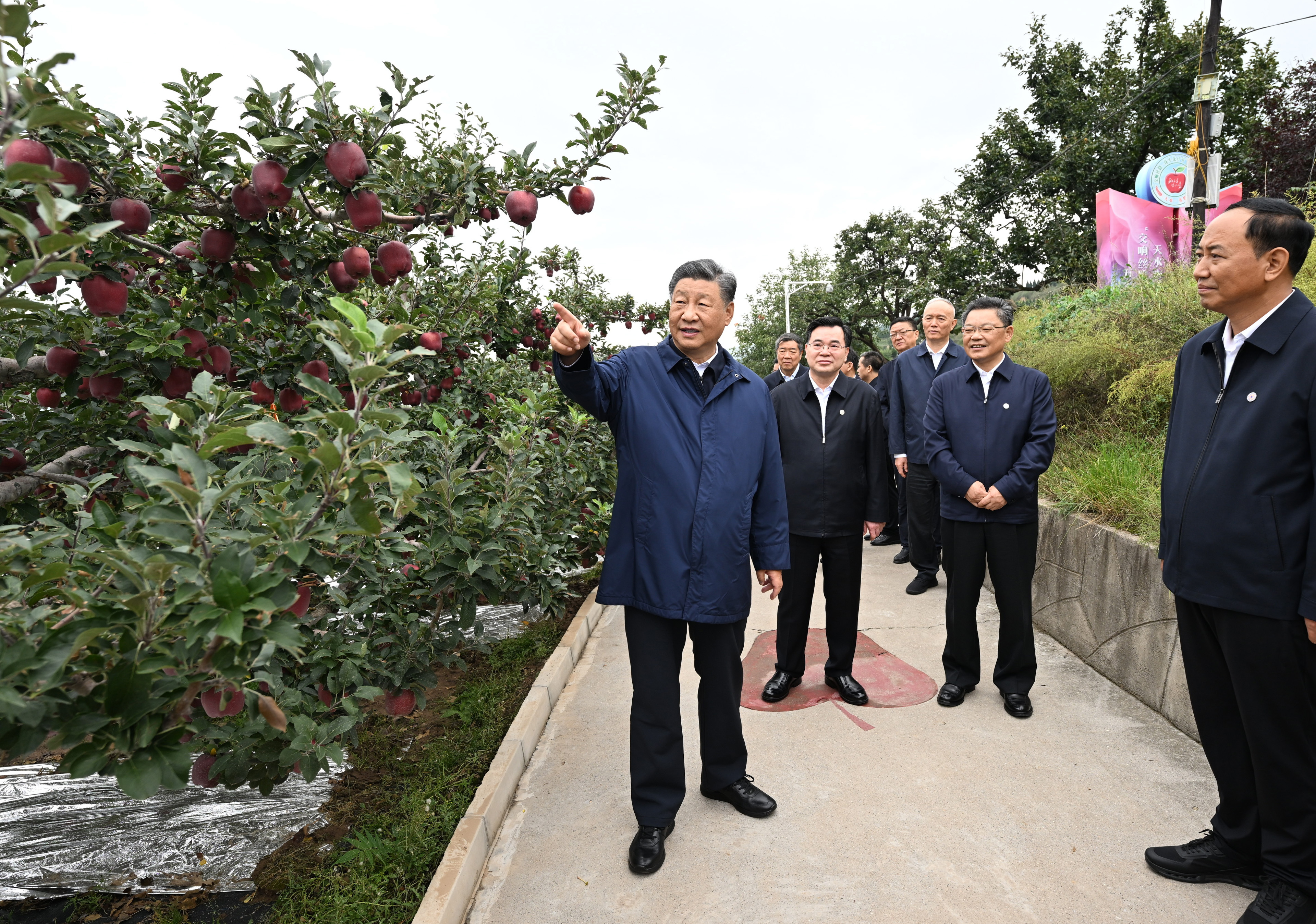 花岔村民委员会最新动态报道