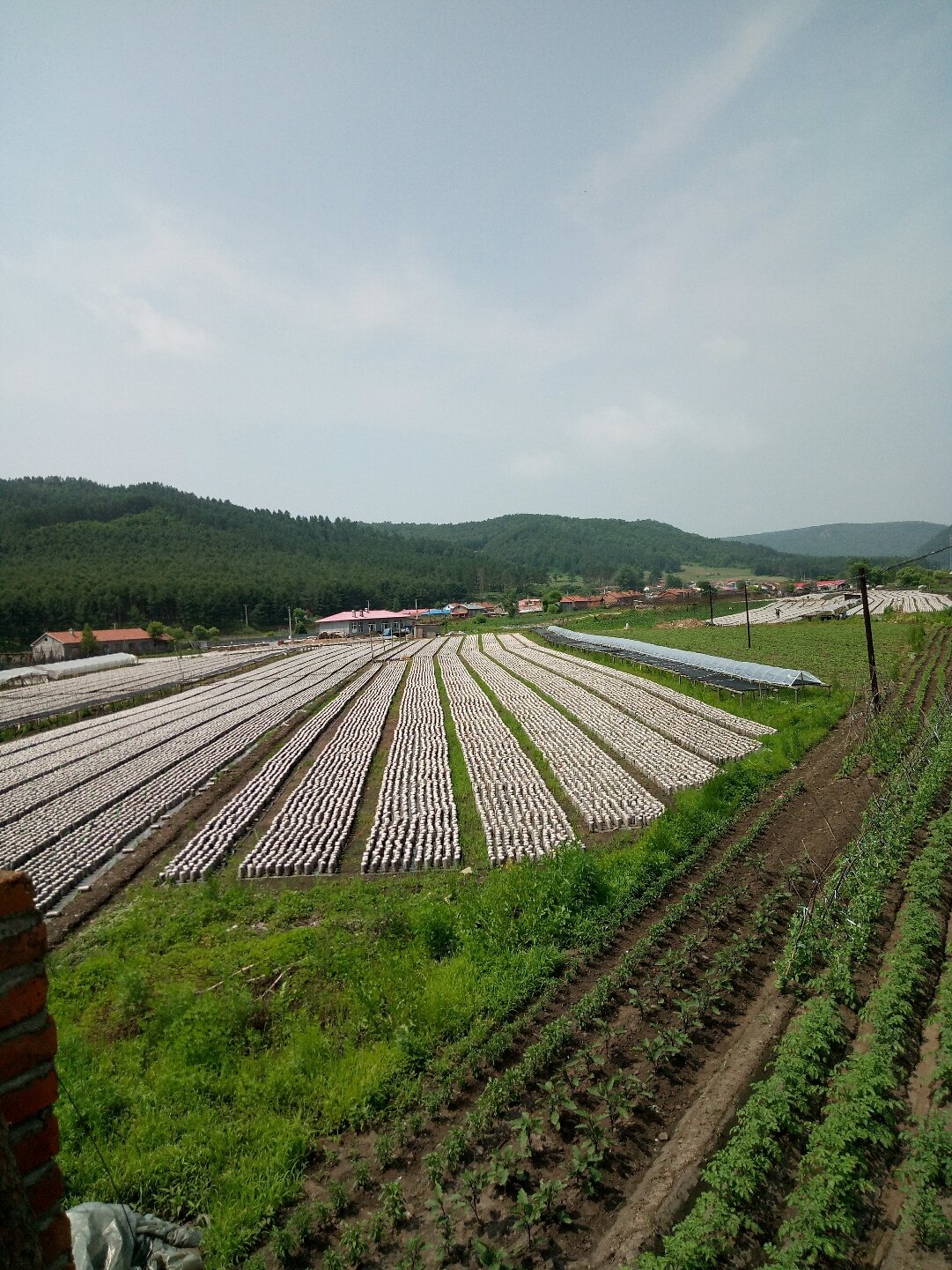 云山农场天气预报更新通知