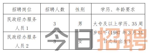 五寨县民政局最新招聘信息全面解析