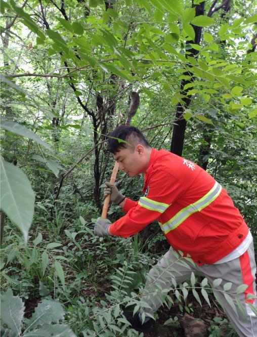 天宝林场最新招聘信息概览