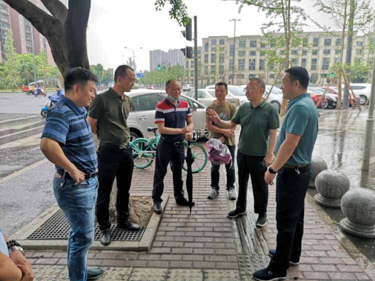 茶店子街道交通优化升级，居民出行更便捷的最新消息