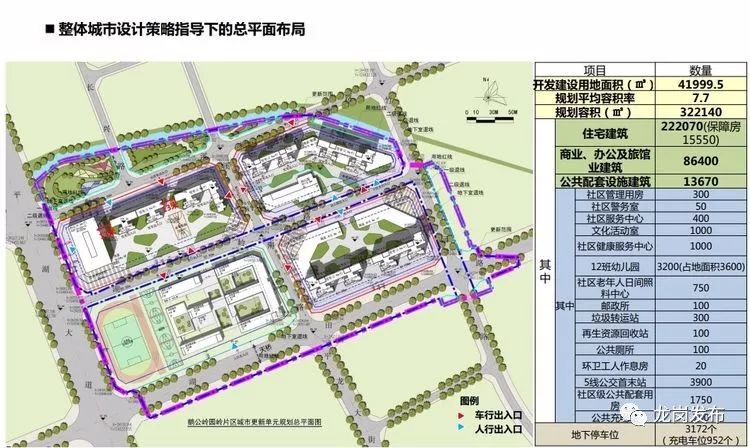 平湖市小学未来发展规划蓝图