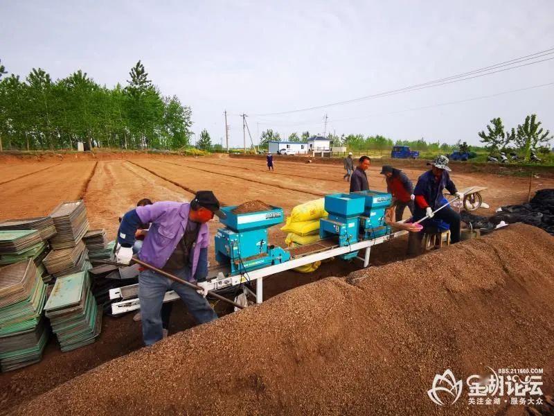 宝应湖农场最新招聘信息详解