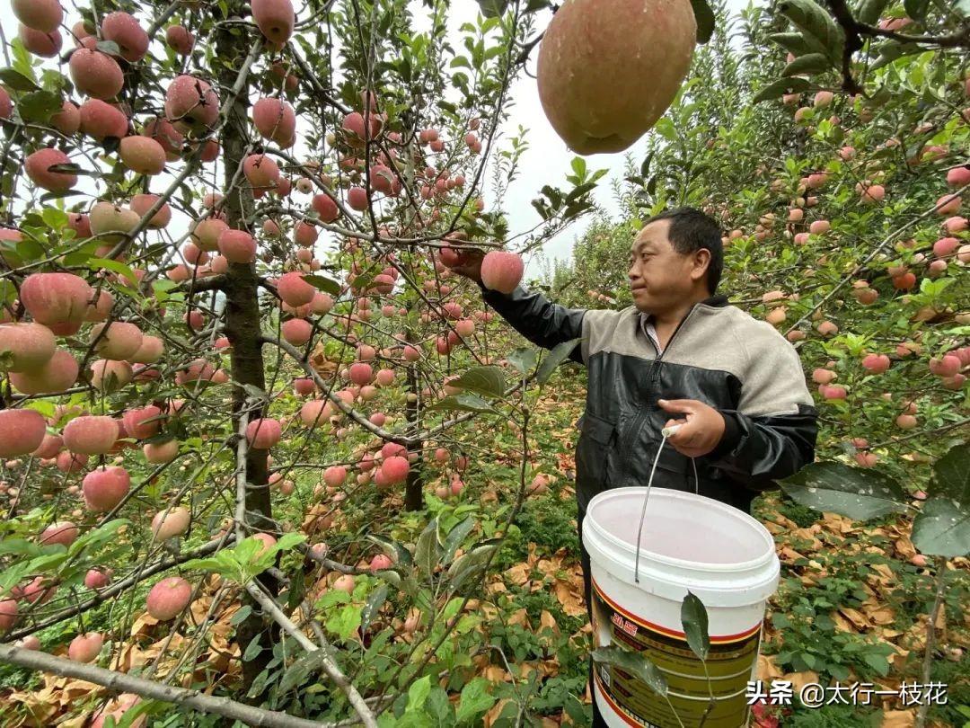 冀家村乡最新新闻报道概览