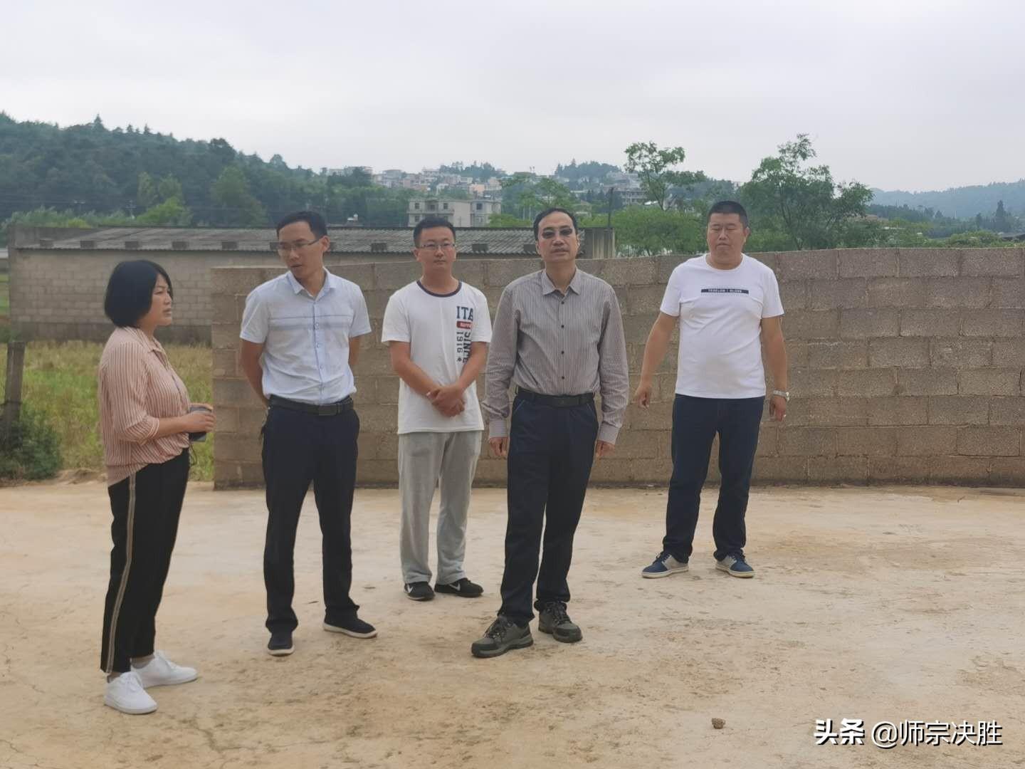 楼房子村委会新项目，重塑乡村未来，引领发展新潮启动