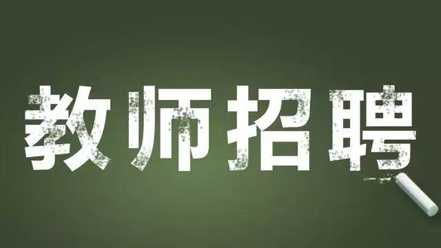 阜宁镇最新招聘信息全面解析