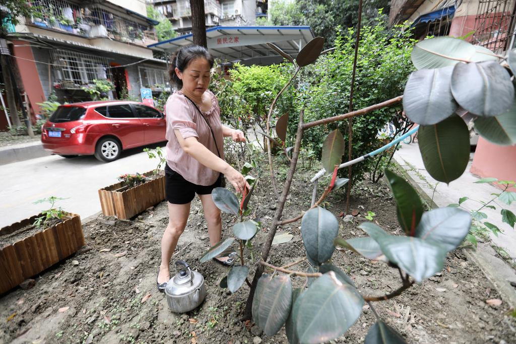 东光县住房和城乡建设局最新发展规划概览