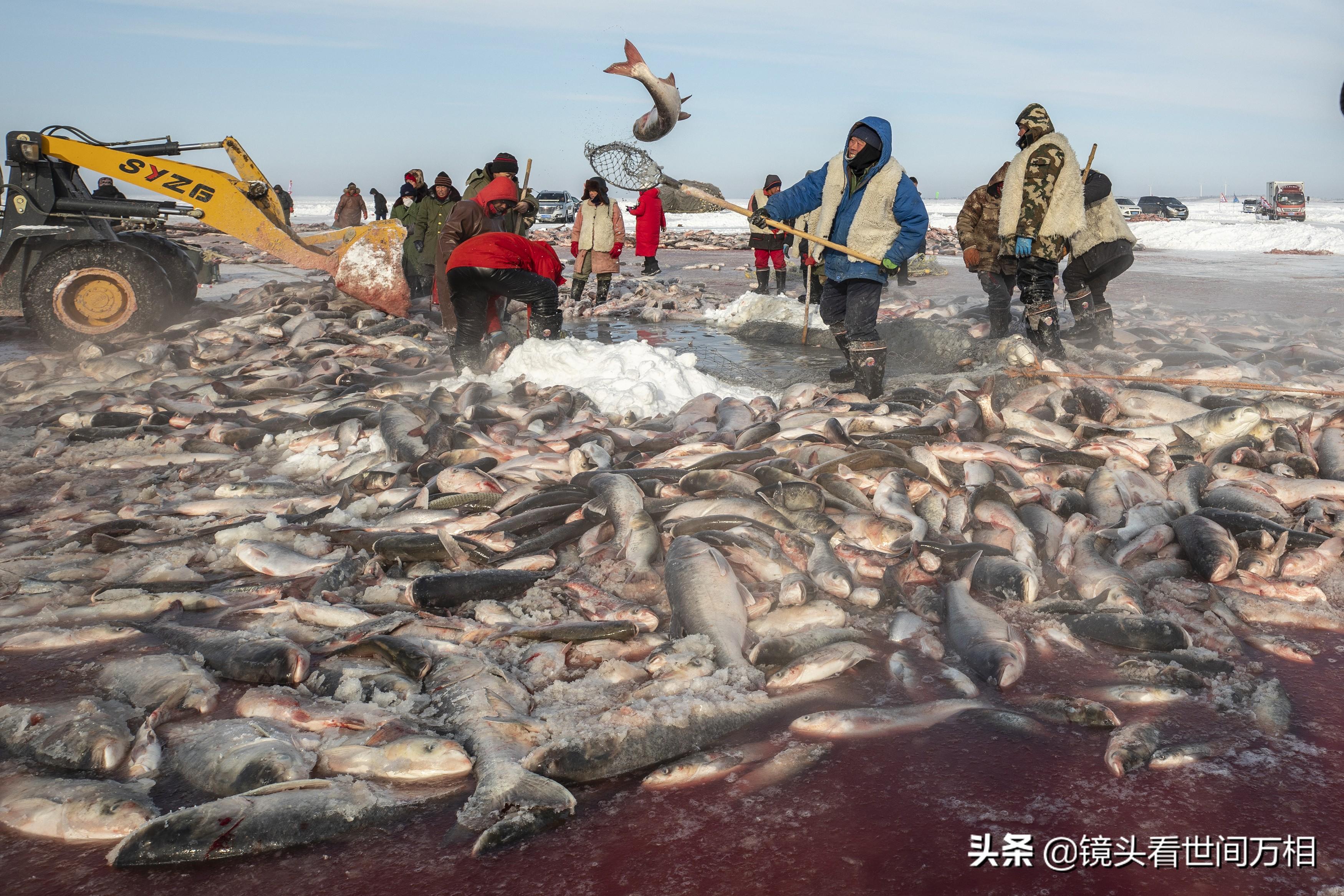 前郭尔罗斯蒙古族自治县公路运输管理事业单位领导最新概况简介