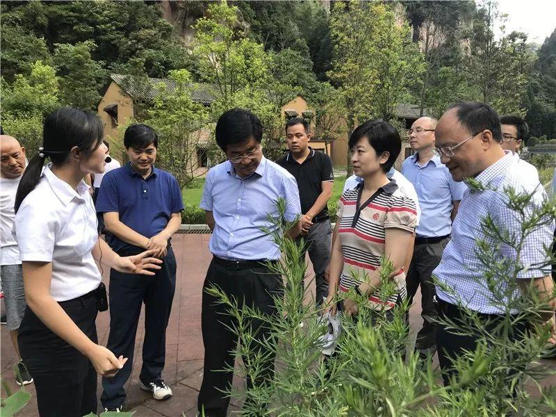 桑木村新领导引领乡村振兴繁荣之路