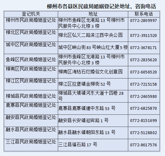 柳北区民政局推动社会救助事业高质量发展新动态