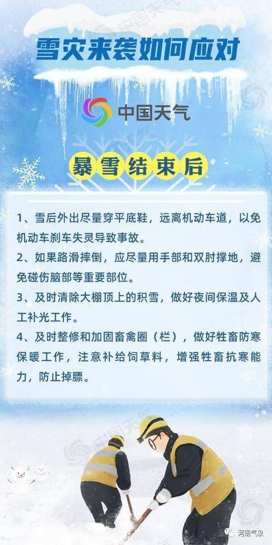 雪仲娘村最新招聘信息全面解析