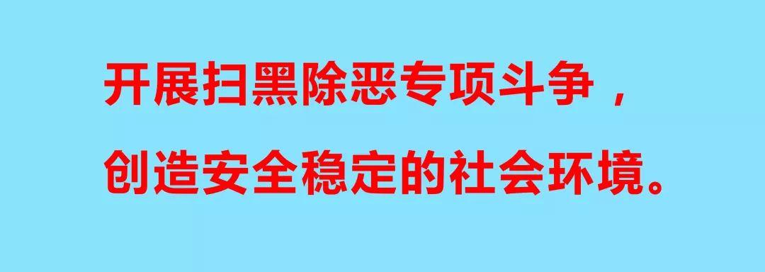 徐闻县农业农村局领导团队全新亮相，展望未来发展之路