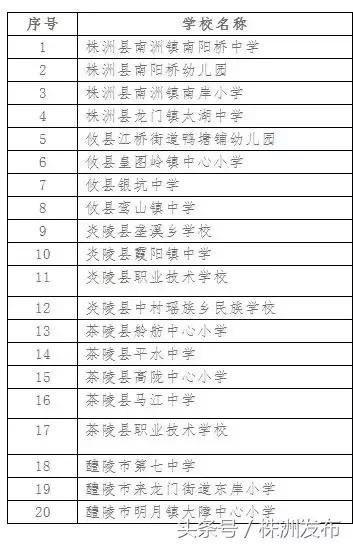 芦淞区市场监管局启动新项目，推动现代化监管助力经济高质量发展