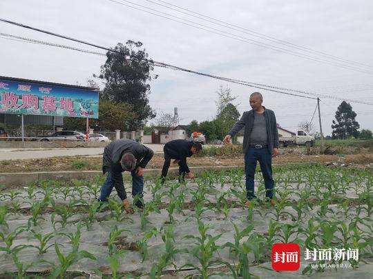 德阳村新领导引领村庄开启新篇章