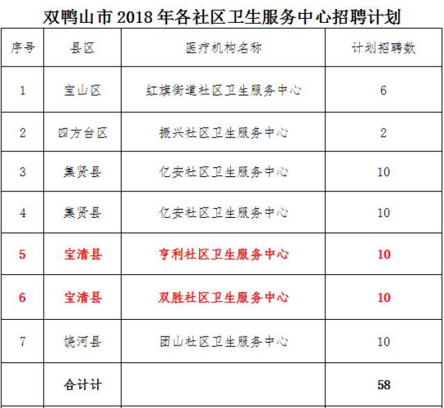 宝清县卫生健康局最新招聘信息详解